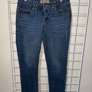 Democracy Dark Blue Skinny Jeans